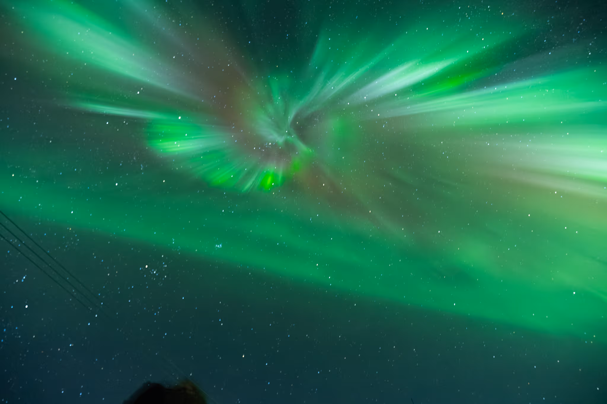 Northern lights over a Lapland forest